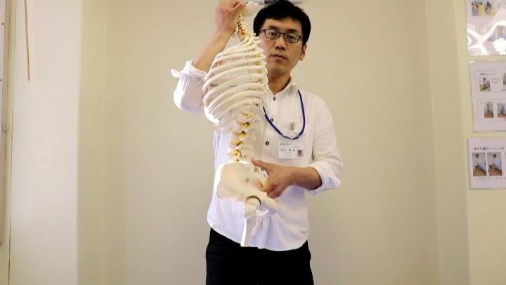 長時間立つ、歩くとつらい腰痛の仕組みを骨格模型を用いて分かり易く説明