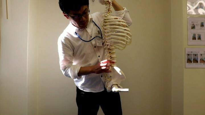 腰椎椎間板ヘルニア、腰痛の原因とは？　骨格模型を用いて分かり易く説明